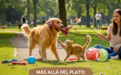 Más Allá del Plato: La Importancia del Ejercicio en la Vida de Tu Mascota